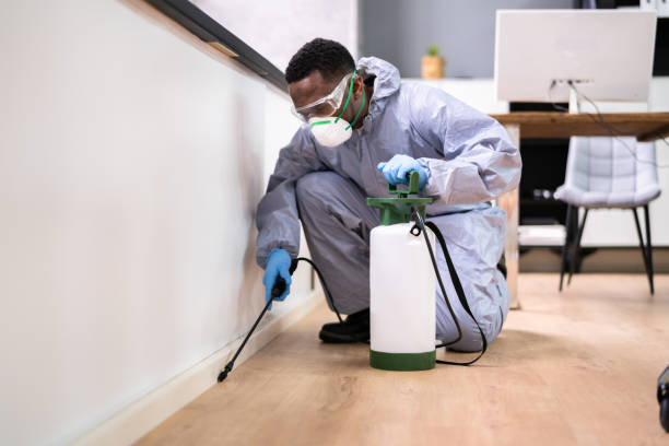 Best Bed Bug Extermination  in Cleveland, AL